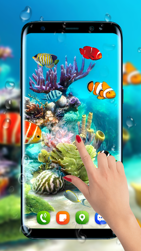 Aquarium fish live wallpapers for PC / Mac / Windows 11,10,8,7 - Free  Download 