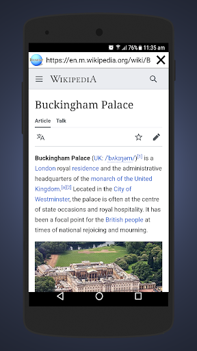 Simple Lite Browser Screen 3