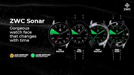 ZWC Sonar Screen 2
