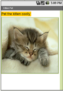 Kitten Pet