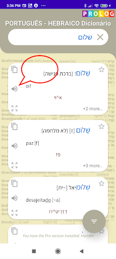 Hebrew-Portuguese Dictionary Screen 2