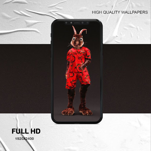 funny animal wallpaper Screen 3