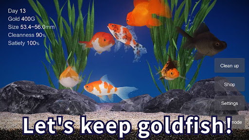 Goldfish 3D Relaxing Aquarium 1