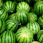 Cover Image of Download Watermelon Wallpapers  APK