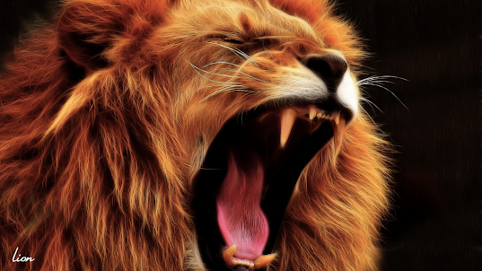 ライオンの鳴き声　LION SOUND