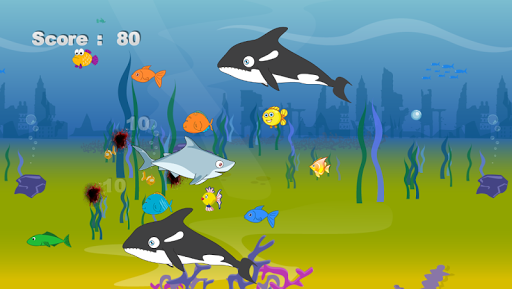 Shark Feed Screen 3