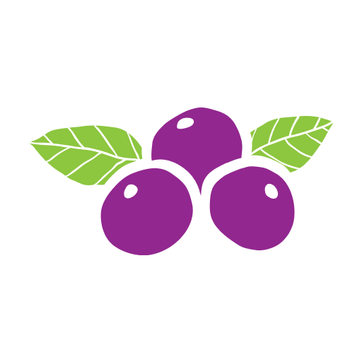 Bahia Bowls logo