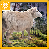Sheep Farming Simulation icon