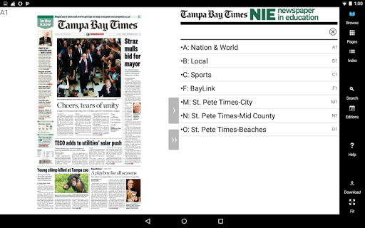 Tampa Bay Times NIE Screen 2