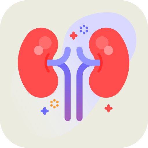 Renal  and Skin Physiology  Icon