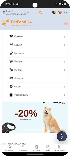 App preview