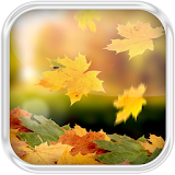 Autumn Leaves Water Effect LWP icon