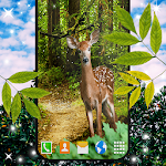 Cover Image of Télécharger Forest Live Wallpaper 🌳 4K Wallpapers Themes 6.6.2 APK