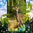 Forest Live Wallpaper 6.9.0 APK Baixar