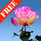 Rose Garden Free LWP icon