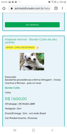 Animals for Sale - Brasil Screen 2
