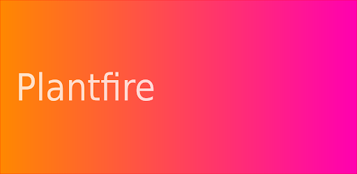 Vegan / Vegetarisch grillen