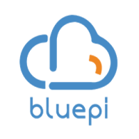 BluePi Consulting Pvt Ltd
