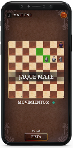Chess Checkmate Puzzle - Screenshot 3