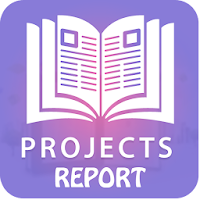 Projects Report