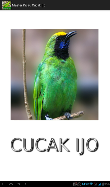 Master Kicau Cucak Ijo - 1.5 - (Android)