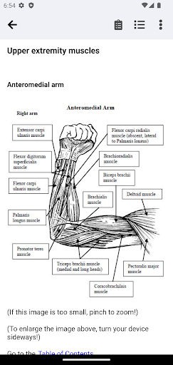 Android application Orthopedic Anatomy screenshort