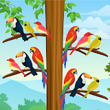 Bird Color:Sort Puzzle Game icon