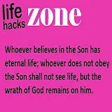 Life Hacks Zone icon