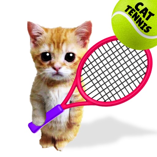 Meme Tennis Cat
