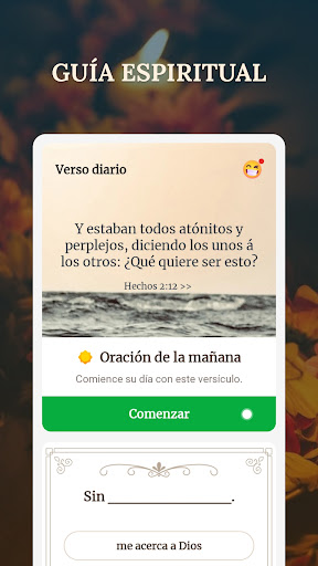 Vista previa de la aplicación