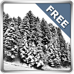 Cover Image of Download Snowfall 360° Free  APK