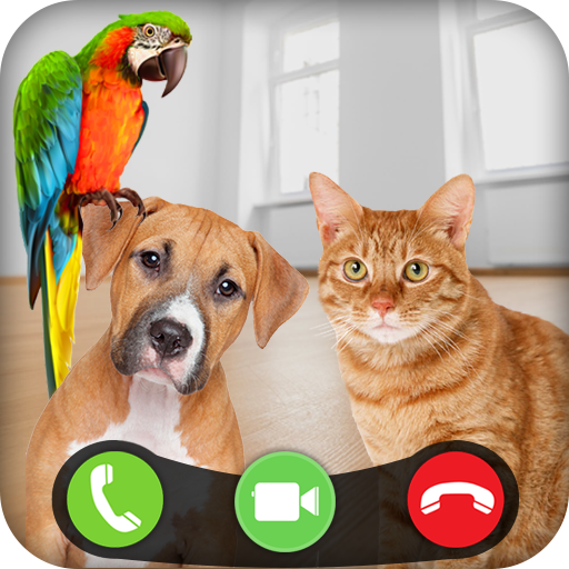 Fake Call Pet Game