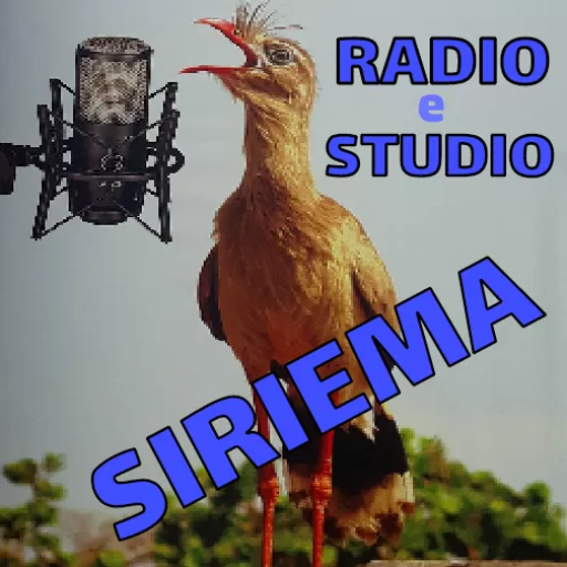 Android application radiosiriema screenshort