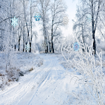 Cover Image of ดาวน์โหลด Snowfall HD Live Wallpaper Pro 1.0.4 APK