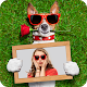 Funny Dog Photo Frames Download on Windows