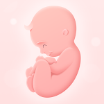 Cover Image of 下载 My Pregnancy - Pregnancy Tracker App 🤰 1.6 APK