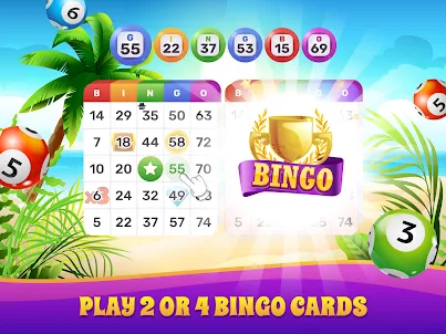 Bingo Lotto: Win Lucky Number