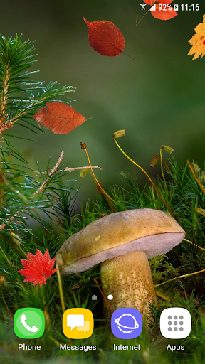 Android application Beautiful Autumn Live Wallpape screenshort