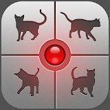 Human-to-Cat - Play with your cat! icon