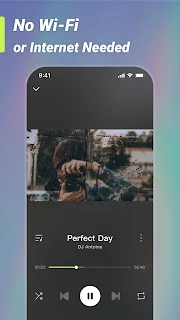 Weezer Lite, MP3 Music player
