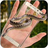 Snake on Screen - Scary Funny Mobile Crawler icon