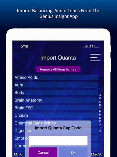 Screenshot of Insight Quanta Cap