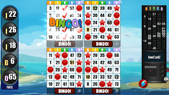 Game screenshot Mega Bingo hack