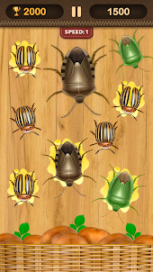 Colorado Beetles Smasher