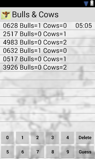 Bulls & Cows Screen 2