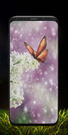 Butterfly Wallpaper