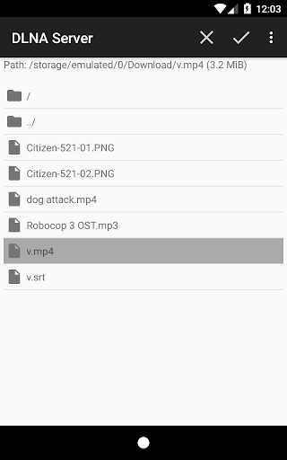 DLNAServer Screen 2