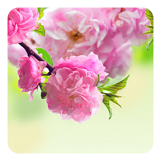 Android Applications Personalization Personalization Applications 日本 2 6 Andro Smart Apps