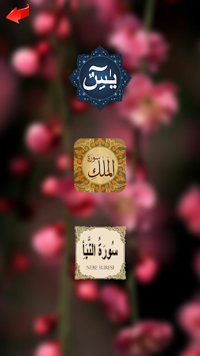 Gerçek Zikirmatik Yasin