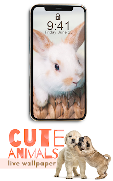 かわいい動物ライブ壁紙 Androidアプリ Applion